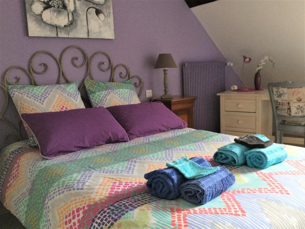 Gite De Sologne "Les Galoches" Dhuizon ภายนอก รูปภาพ